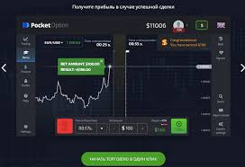 Pocket Option License Understanding Its Importance in Online Trading