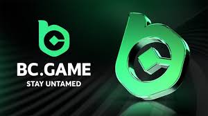 Explore the World of Betting with BC ame.im